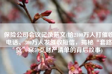 保险公司会议记录范文(给2100万人打催收电话、300万人发催收短信，揭秘“套路贷”案59页财产清单的背后故事)