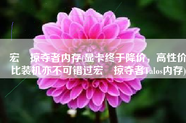 宏碁掠夺者内存(显卡终于降价，高性价比装机亦不可错过宏碁掠夺者Talos内存)