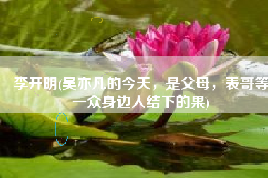 李开明(吴亦凡的今天，是父母，表哥等一众身边人结下的果)