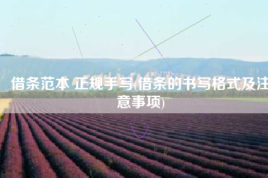 借条范本 正规手写(借条的书写格式及注意事项)
