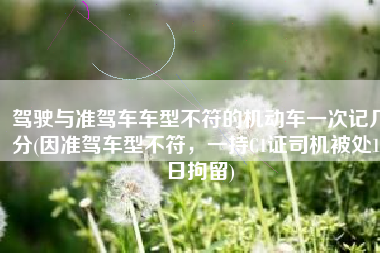 驾驶与准驾车车型不符的机动车一次记几分(因准驾车型不符，一持C1证司机被处14日拘留)