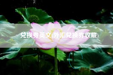 兑换券英文(外汇兑换券收藏)