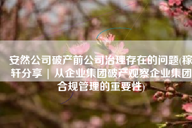 安然公司破产前公司治理存在的问题(稼轩分享 | 从企业集团破产观察企业集团合规管理的重要性)