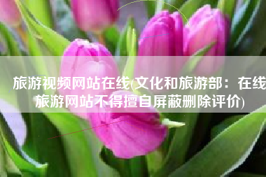 旅游视频网站在线(文化和旅游部：在线旅游网站不得擅自屏蔽删除评价)