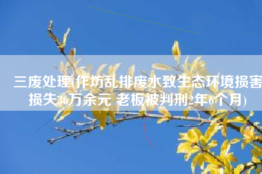 三废处理(作坊乱排废水致生态环境损害损失36万余元 老板被判刑2年6个月)