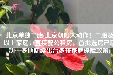 北京单独二胎(北京朝阳大动作！二胎及以上家庭，直接配公租房，首批选房已启动…多地陆续出台多孩家庭保障政策)