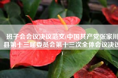 班子会会议决议范文(中国共产党张家川县第十三届委员会第十三次全体会议决议)