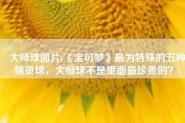 大师球图片(《宝可梦》最为特殊的五种精灵球，大师球不是里面最珍贵的？)