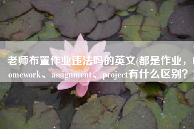 老师布置作业违法吗的英文(都是作业，homework、assignment、project有什么区别？)