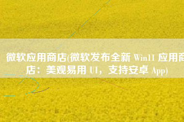 微软应用商店(微软发布全新 Win11 应用商店：美观易用 UI，支持安卓 App)