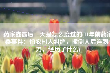药家鑫最后一天是怎么度过的(11年前药家鑫事件：怕农村人纠缠，撞倒人后连刺8刀，经历了什么)