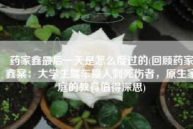 药家鑫最后一天是怎么度过的(回顾药家鑫案：大学生驾车撞人刺死伤者，原生家庭的教育值得深思)