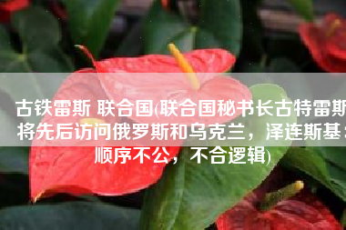 古铁雷斯 联合国(联合国秘书长古特雷斯将先后访问俄罗斯和乌克兰，泽连斯基：顺序不公，不合逻辑)
