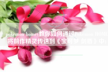 pokemon home(教你如何通过Pokemon HOME将前作精灵传送到《宝可梦 剑盾》中)
