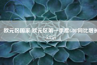 欧元区国家(欧元区第一季度GDP同比增长5.1%)