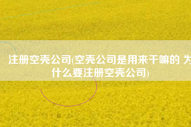 注册空壳公司(空壳公司是用来干嘛的 为什么要注册空壳公司)