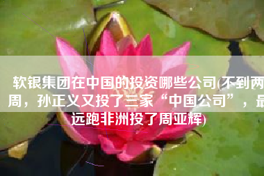 软银集团在中国的投资哪些公司(不到两周，孙正义又投了三家“中国公司”，最远跑非洲投了周亚辉)