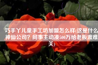 巧手丫儿童手工坊加盟怎么样(这是什么神仙公司？同事主动凑500万给老板渡难关)