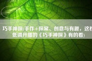 巧手神探(手作+探案、创意与有趣，这档低调开播的《巧手神探》有的看)