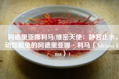 阿德里亚娜利马(维密天使：静若止水，动如脱兔的阿德里亚娜·利马（Adriana Lima）)