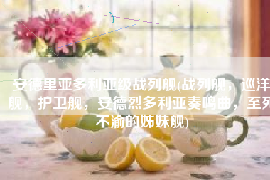 安德里亚多利亚级战列舰(战列舰，巡洋舰，护卫舰，安德烈多利亚奏鸣曲，至死不渝的姊妹舰)