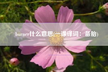 burner什么意思(一课译词：备胎)