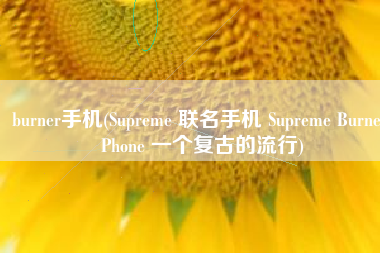burner手机(Supreme 联名手机 Supreme Burner Phone 一个复古的流行)