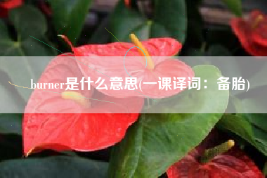 burner是什么意思(一课译词：备胎)