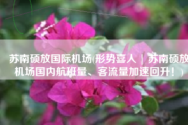 苏南硕放国际机场(形势喜人 | 苏南硕放机场国内航班量、客流量加速回升！)