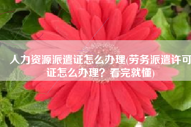 人力资源派遣证怎么办理(劳务派遣许可证怎么办理？看完就懂)