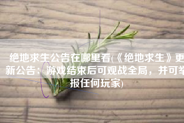 绝地求生公告在哪里看(《绝地求生》更新公告：游戏结束后可观战全局，并可举报任何玩家)