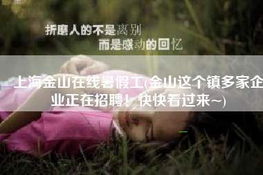 上海金山在线暑假工(金山这个镇多家企业正在招聘！快快看过来~)