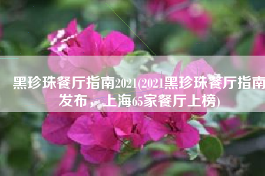 黑珍珠餐厅指南2021(2021黑珍珠餐厅指南发布，上海65家餐厅上榜)