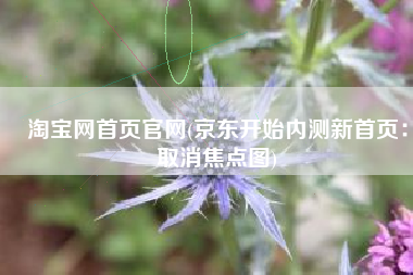 淘宝网首页官网(京东开始内测新首页：取消焦点图)