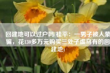 回建地可以过户吗(桂平：一男子被人蒙骗，花130多万元购买三处子虚乌有的回建地)