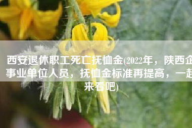 西安退休职工死亡抚恤金(2022年，陕西企事业单位人员，抚恤金标准再提高，一起来看吧)