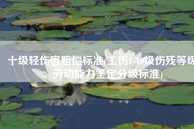 十级轻伤害赔偿标准(工伤1-10级伤残等级、劳动能力鉴定分级标准)