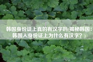 韩国身份证上真的有汉字吗(揭秘韩国：韩国人身份证上为什么有汉字？)