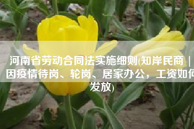 河南省劳动合同法实施细则(知岸民商 | 因疫情待岗、轮岗、居家办公，工资如何发放)