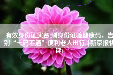 有效身份证实名(刷身份证验健康码，告别“一码不通”便利老人出行 |新京报快评)