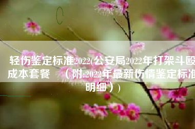 轻伤鉴定标准2022(公安局2022年打架斗殴成本套餐​（附:2022年最新伤情鉴定标准明细）)