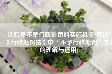 法院是不是行政处罚的实施机关(探讨！《行政处罚法》中“不予行政处罚”条款的理解与适用)