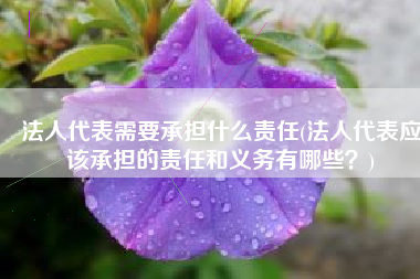 法人代表需要承担什么责任(法人代表应该承担的责任和义务有哪些？)