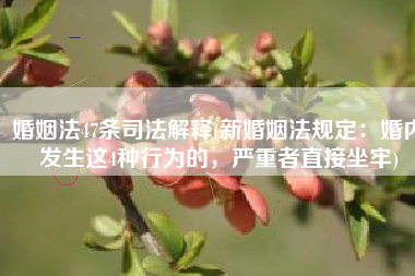 婚姻法47条司法解释(新婚姻法规定：婚内发生这4种行为的，严重者直接坐牢)