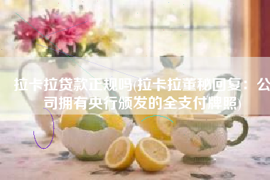 拉卡拉贷款正规吗(拉卡拉董秘回复：公司拥有央行颁发的全支付牌照)