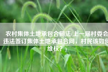 农村集体土地承包合同法(上一届村委会违法签订集体土地承包合同，村民该如何维权？)