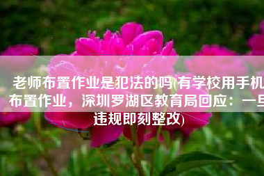 老师布置作业是犯法的吗(有学校用手机布置作业，深圳罗湖区教育局回应：一旦违规即刻整改)