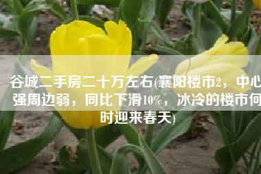 谷城二手房二十万左右(襄阳楼市2，中心强周边弱，同比下滑10%，冰冷的楼市何时迎来春天)