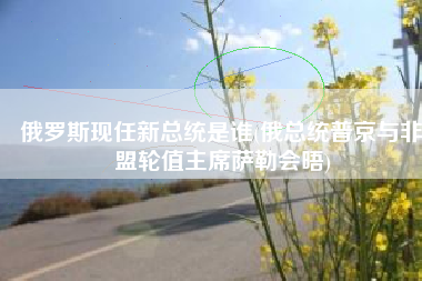 俄罗斯现任新总统是谁(俄总统普京与非盟轮值主席萨勒会晤)