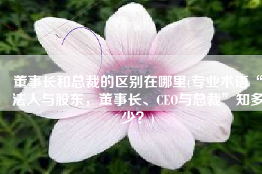 董事长和总裁的区别在哪里(专业术语“法人与股东，董事长、CEO与总裁”知多少？)